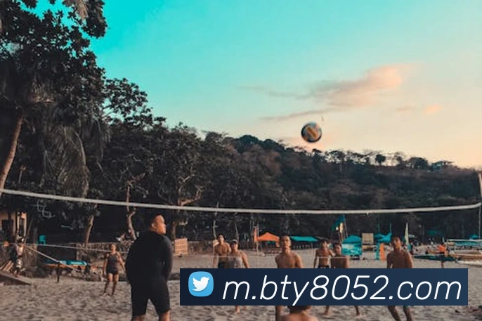 App Interface Preview